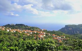 Casa Vacanze Agriturismo Il Castagno