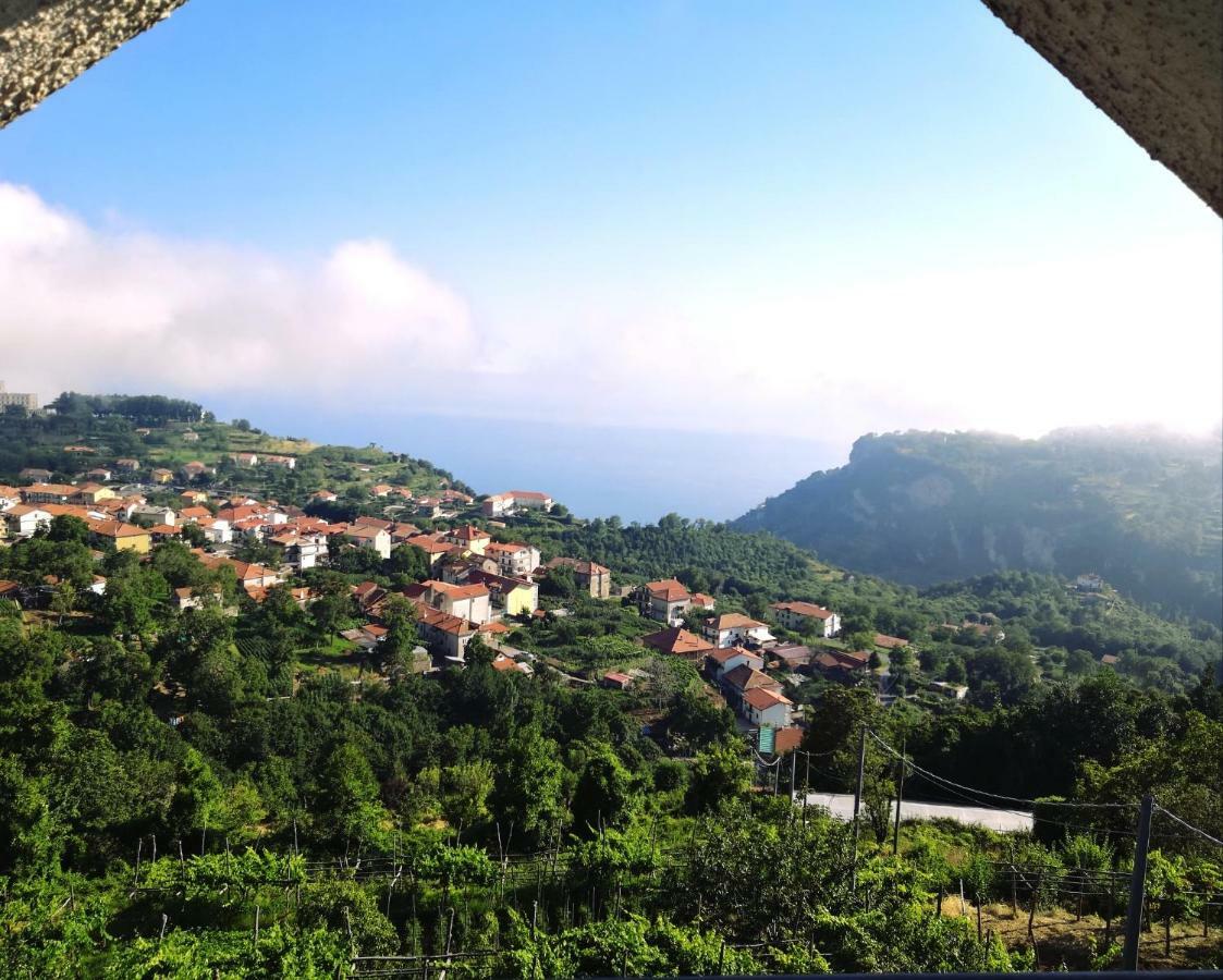 Agriturismo il Castagno Villa Agerola Esterno foto