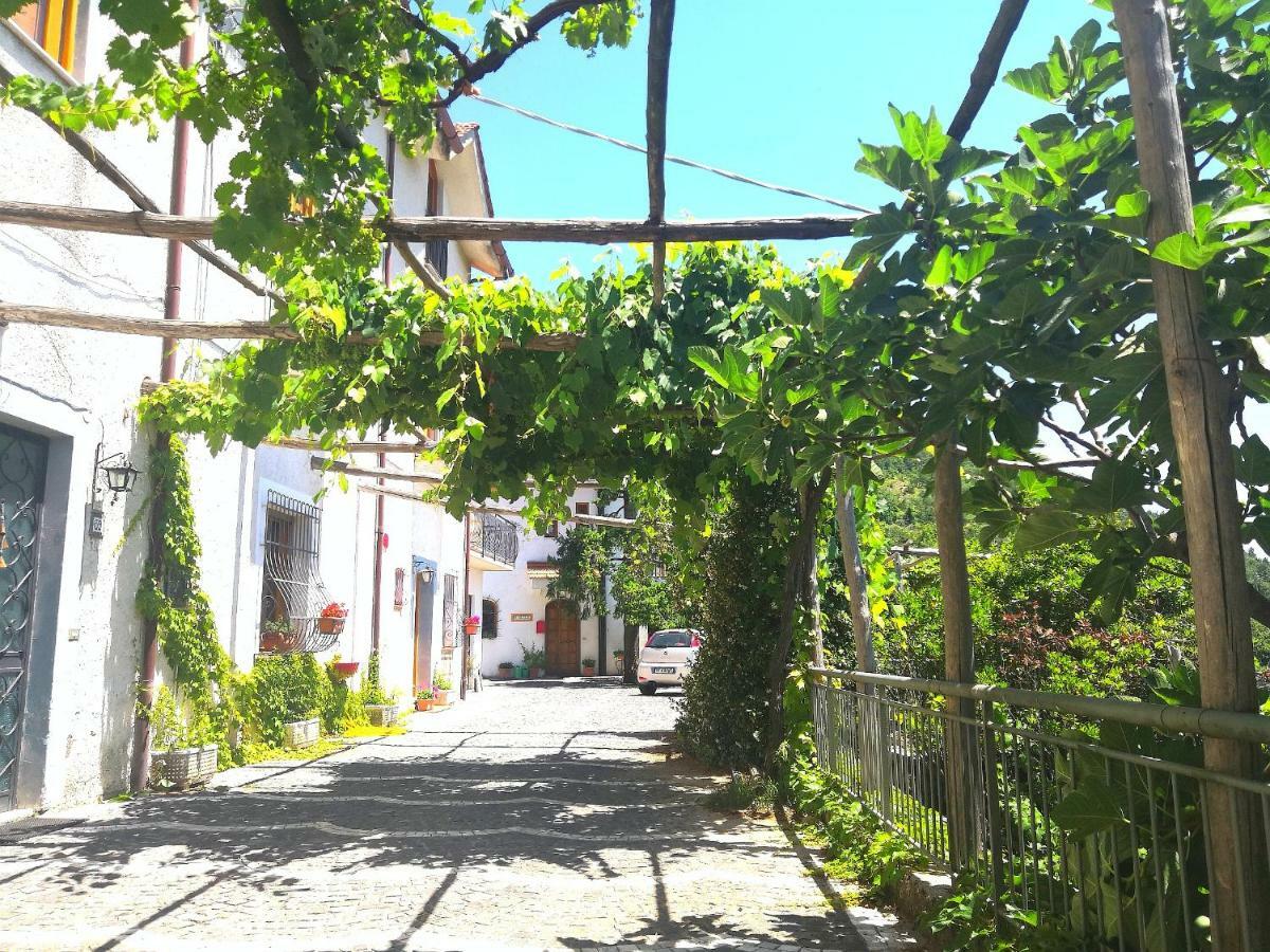 Agriturismo il Castagno Villa Agerola Esterno foto