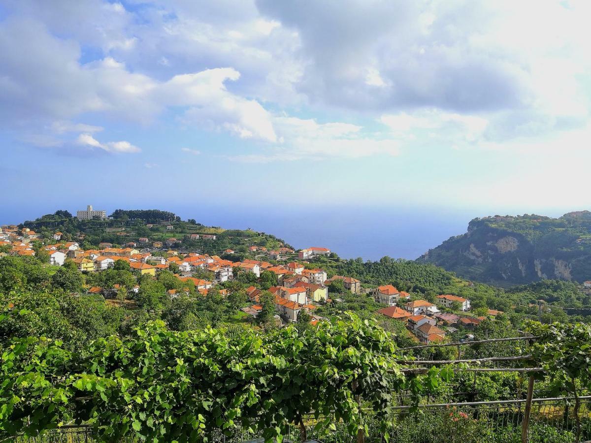 Agriturismo il Castagno Villa Agerola Esterno foto